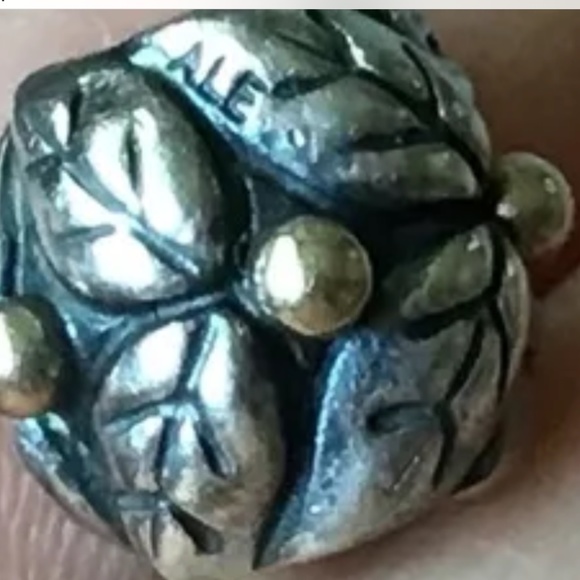 Pandora two tone charm - Picture 2 of 2